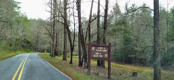 Huskins Branch Campground Picture 2