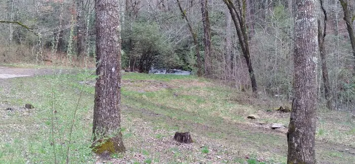 Huskins Branch Campground Picture 6