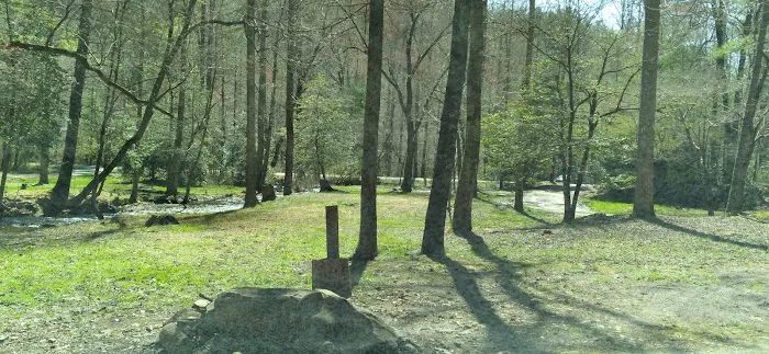 Huskins Branch Campground Picture 8