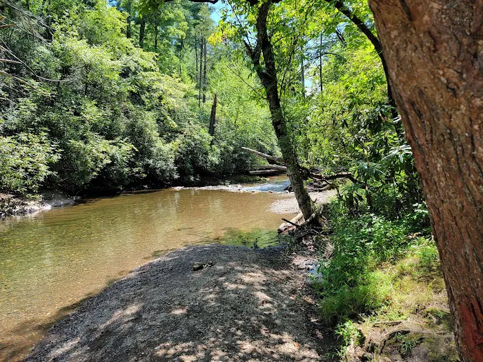 Huskins Branch Campground Picture 9