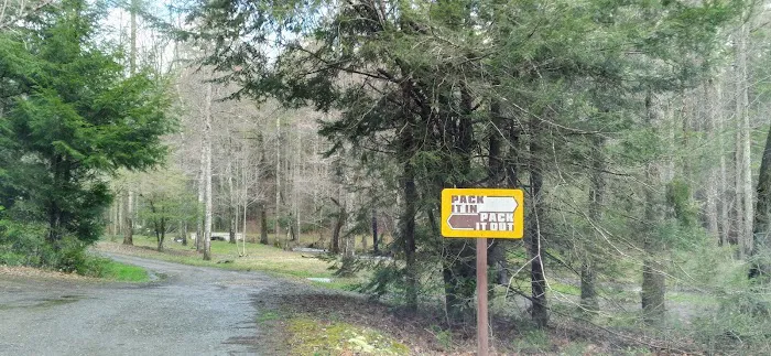Huskins Branch Campground Picture 4