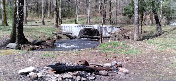 Huskins Branch Campground Picture 7