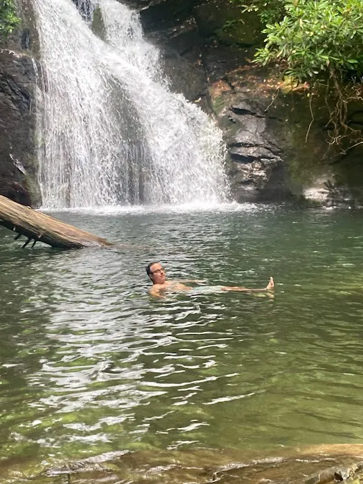 Indian Grave Gap Campsite Picture 1