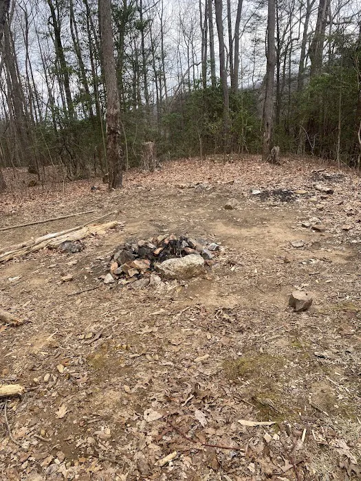 Indian Grave Gap Campsite Picture 3