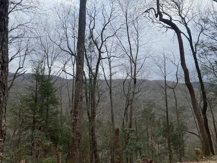 Indian Grave Gap Campsite Picture 5