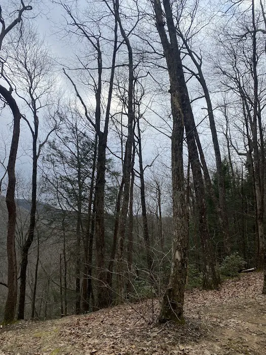 Indian Grave Gap Campsite Picture 4