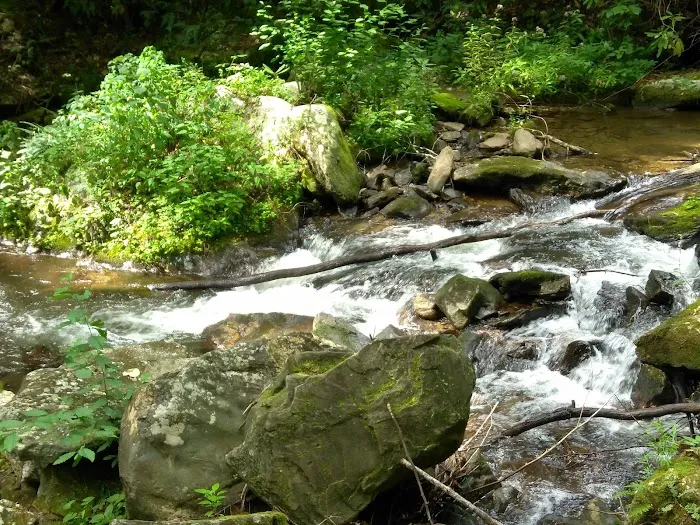 Appalachian RV Park and Campground Picture 7