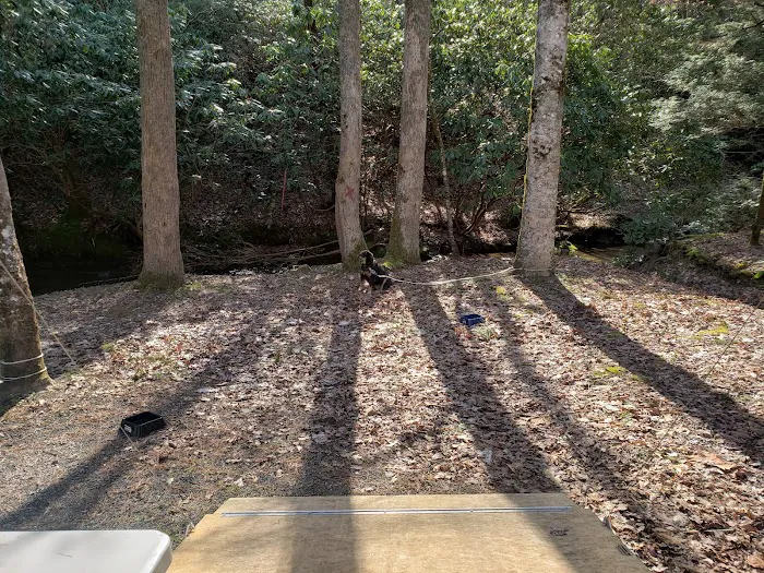 Appalachian RV Park and Campground Picture 8