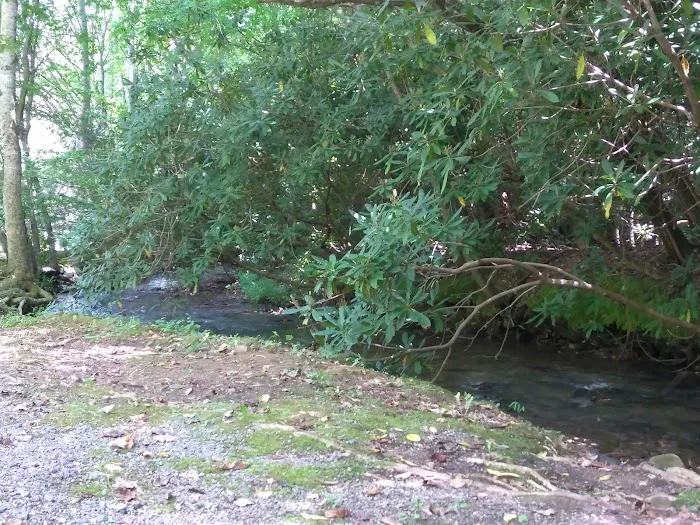 Appalachian RV Park and Campground Picture 10