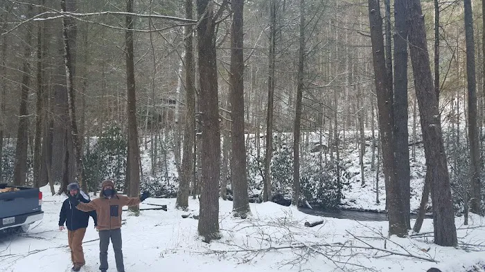 Soapstone Creek Camp Site Picture 3