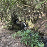 Kevin Ford Campsite ico