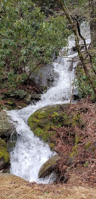 Cradle of Forestry In Amer I Picture 10