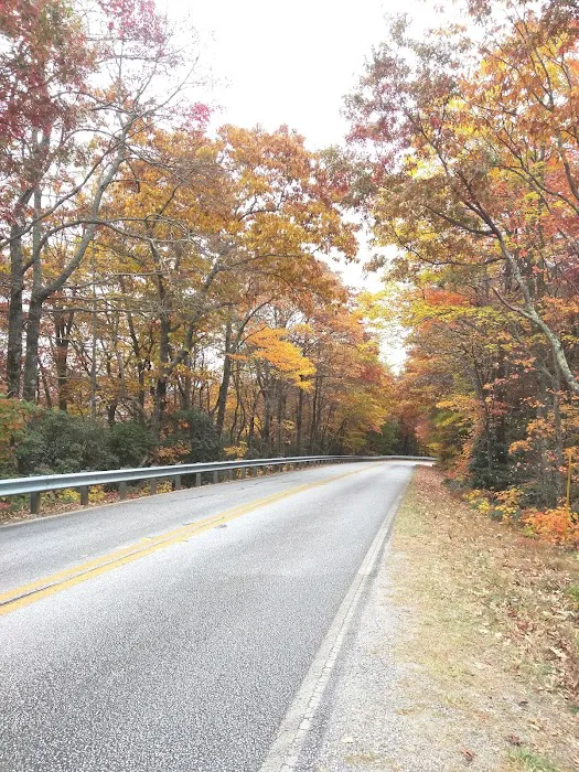 Cradle of Forestry In Amer I Picture 3