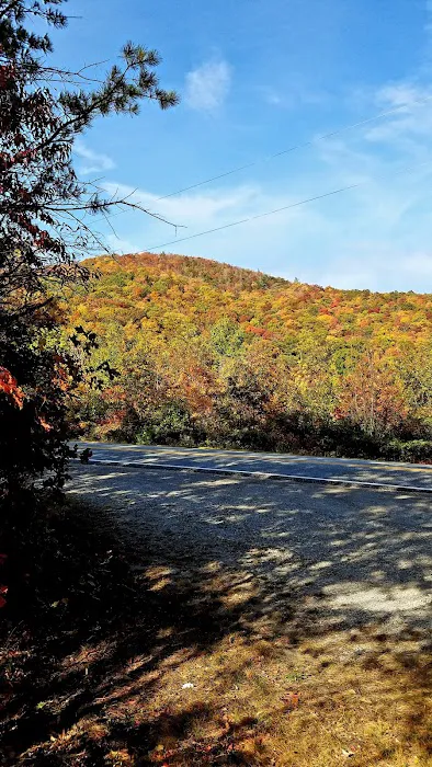 Cradle of Forestry In Amer I Picture 7