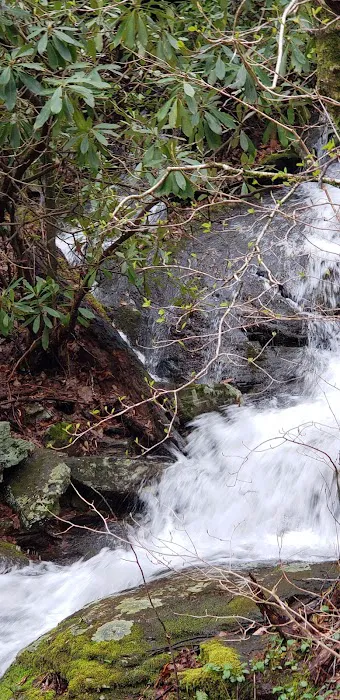 Cradle of Forestry In Amer I Picture 6