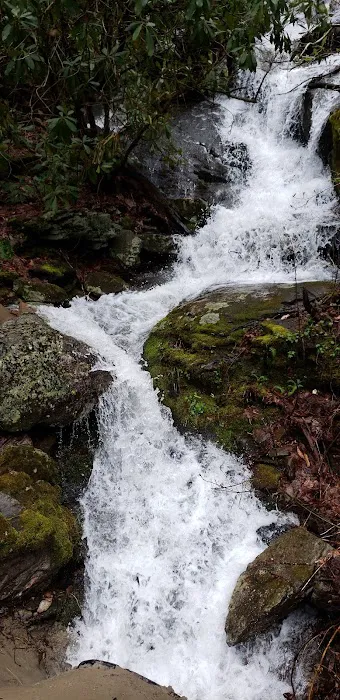 Cradle of Forestry In Amer I Picture 4