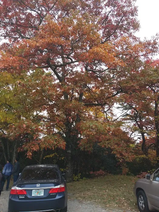 Cradle of Forestry In Amer I Picture 9