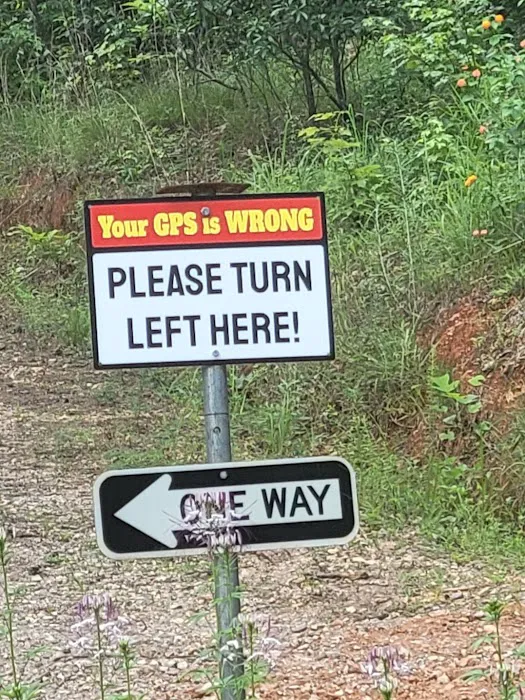 Sunny Woods Cabin Picture 2