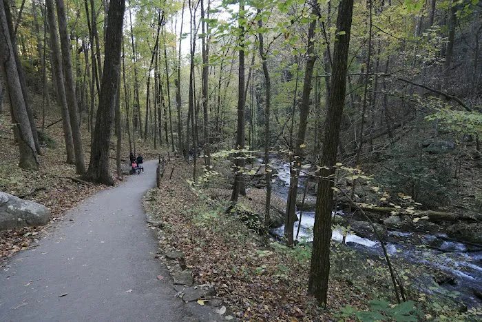 Unicoi State Park Campground Picture 4