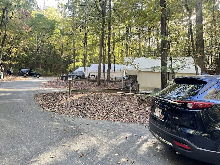 Unicoi State Park Campground Picture 8