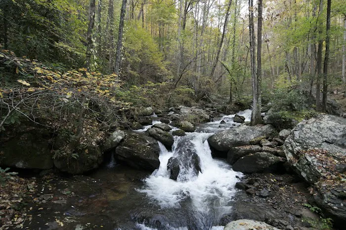 Unicoi State Park Campground Picture 6