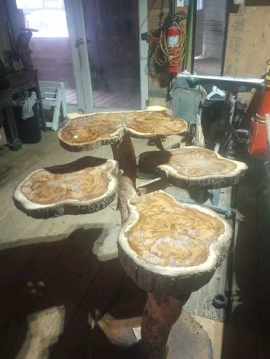 Unicoi State Park Campground Picture 9