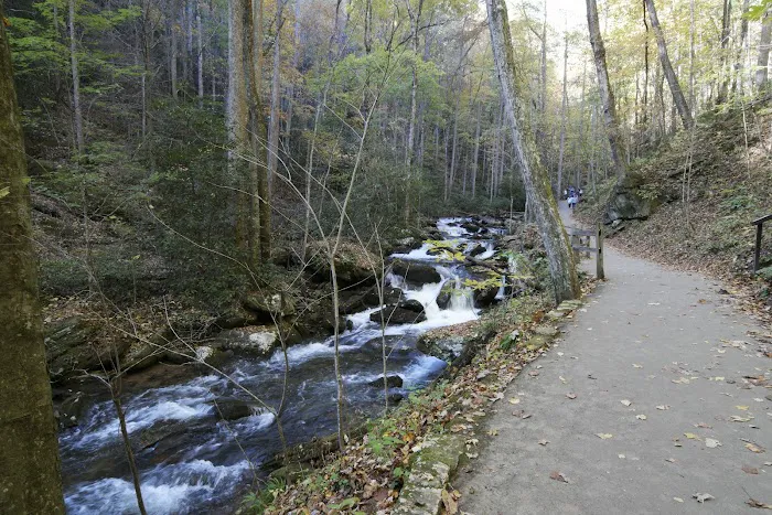 Unicoi State Park Campground Picture 5