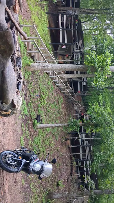 Squirrel's Nest Platform Camping Area Picture 1