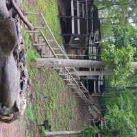 Squirrel's Nest Platform Camping Area ico