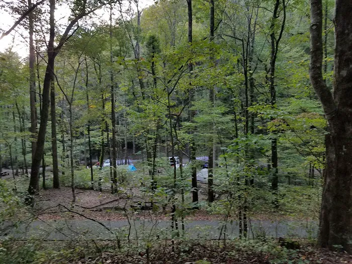 Andrews Cove Campground Picture 1