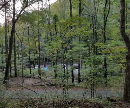 Andrews Cove Campground