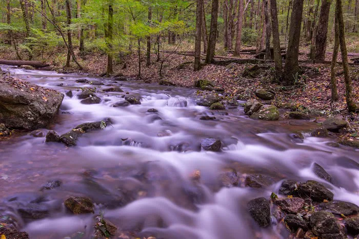 Andrews Cove Campground Picture 2