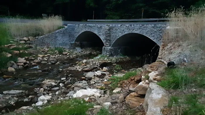 Andrews Cove Campground Picture 3