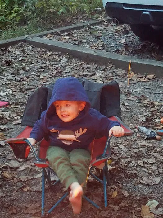 Andrews Cove Campground Picture 7