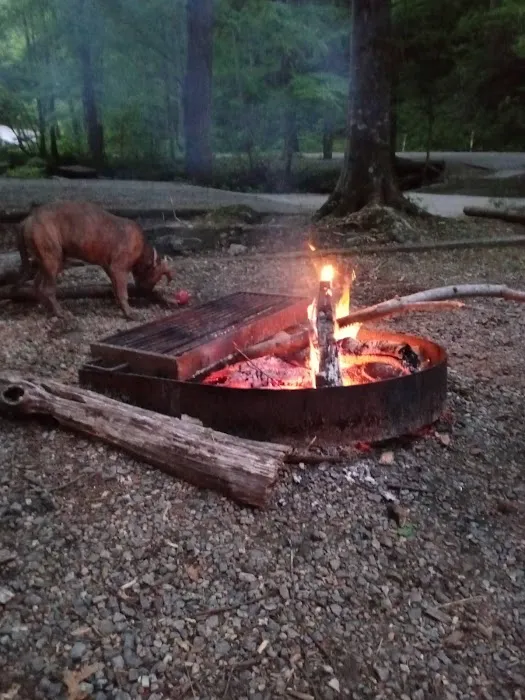 Andrews Cove Campground Picture 4