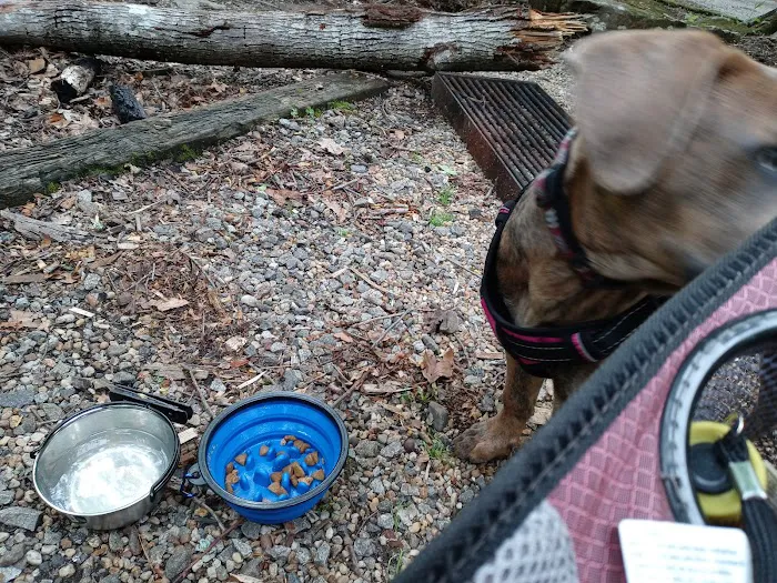 Andrews Cove Campground Picture 8