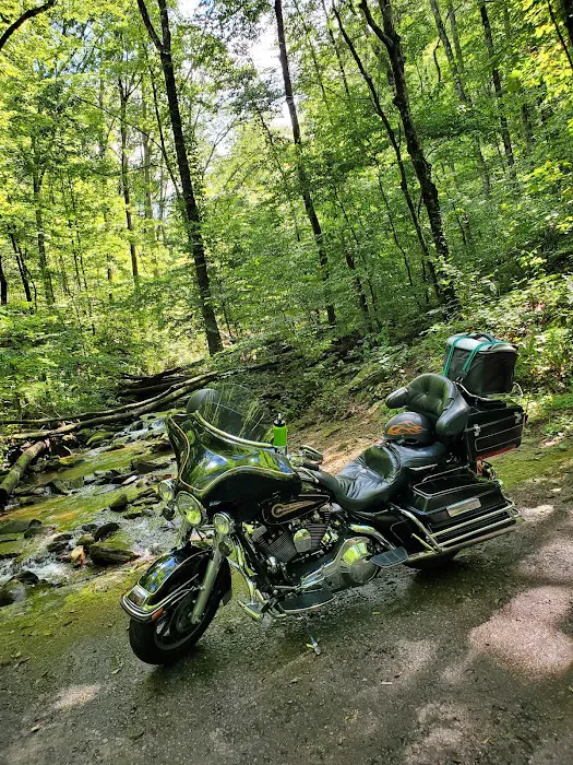 Andrews Cove Campground Picture 5