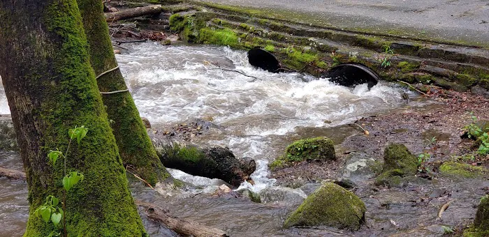 Andrews Cove Campground Picture 10