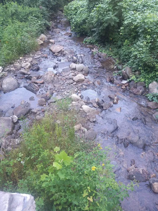 Andrews Cove Campground Picture 9