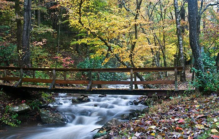 Top of Georgia Airstream Park Picture 6