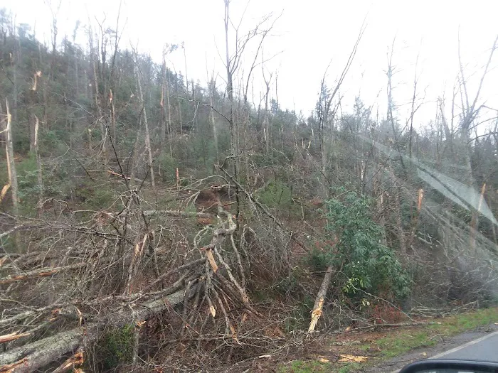 Top of Georgia Airstream Park Picture 9