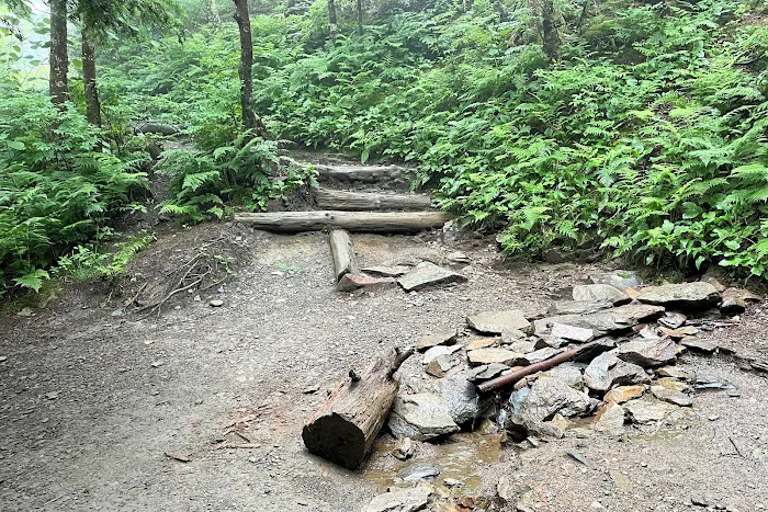 Icewater Spring Shelter Picture 8