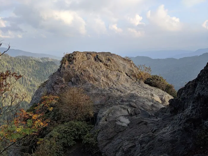 Icewater Spring Shelter Picture 10