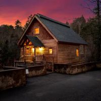 Bear Play Cabin ico