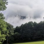 Orchard Cove Stables