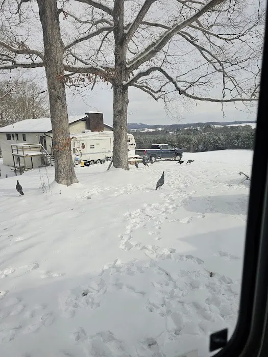 Farmview Campground Picture 10