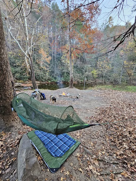 Cherokee National Forest Citico Creek Campsite 3 Picture 2