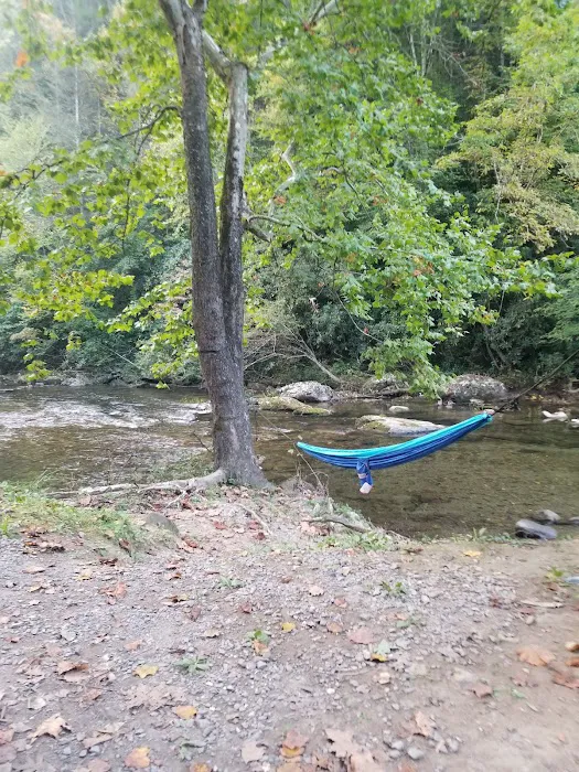 Cherokee National Forest Citico Creek Campsite 3 Picture 1