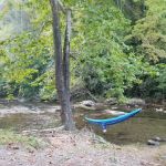 Cherokee National Forest Citico Creek Campsite 3