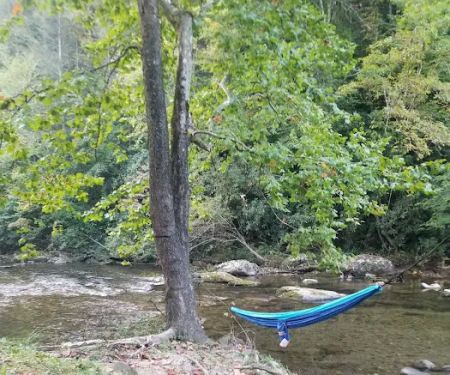 Cherokee National Forest Citico Creek Campsite 3